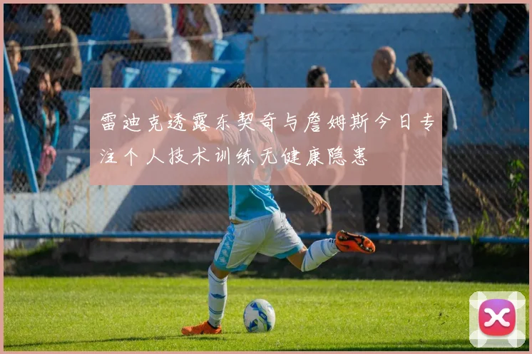 雷迪克透露东契奇与詹姆斯今日专注个人技术训练无健康隐患